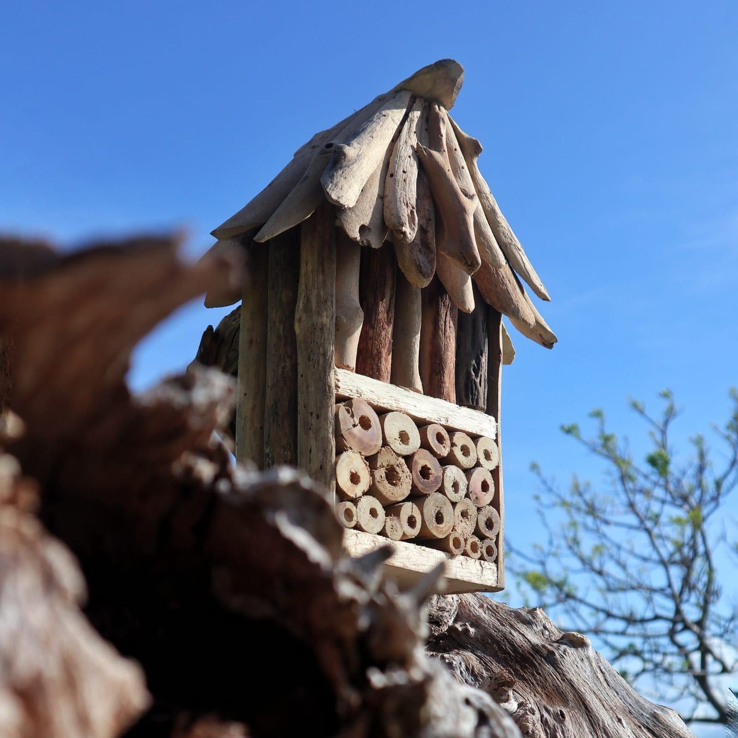 Insekten-Doppelbox aus recyceltem Treibholz - Natürliches Refugium für Wildbienen