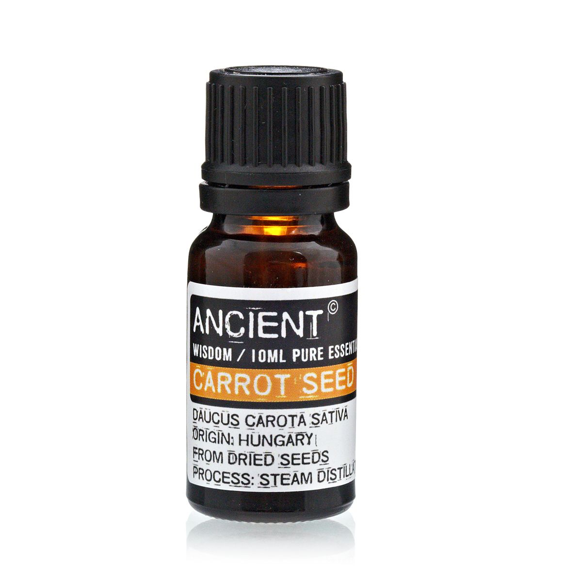 Ätherisches Öl Karottensamen 10 ml – Naturrein & harmonisierend