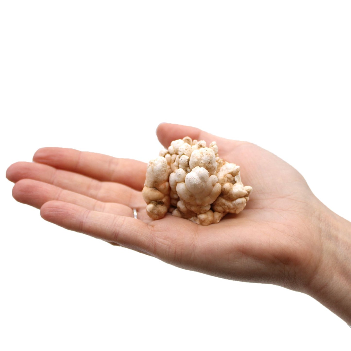 Natürliche Quarzkristall-Finger, 1kg Paket (ab 5 Stücke) – Sammlerstücke für Dekoration & Meditation