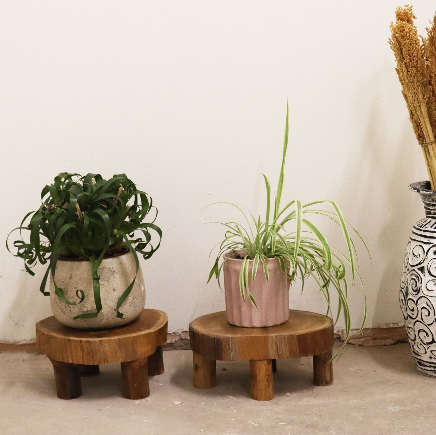 Set mit 2 Präsentationsdisplays aus Massivholz Teak - 24x10 cm
