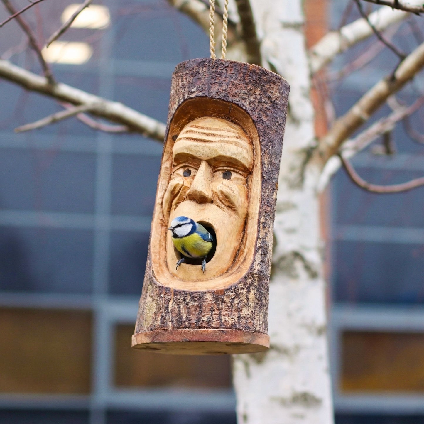 Tree Trunk Face - Bird House - Grumpy Old Man
