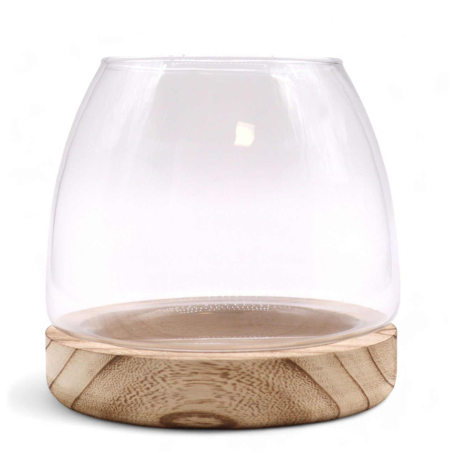 Glas-Terrarium auf Edelholz-Sockel 15x15 cm - Natürliches Pflanzendisplay
