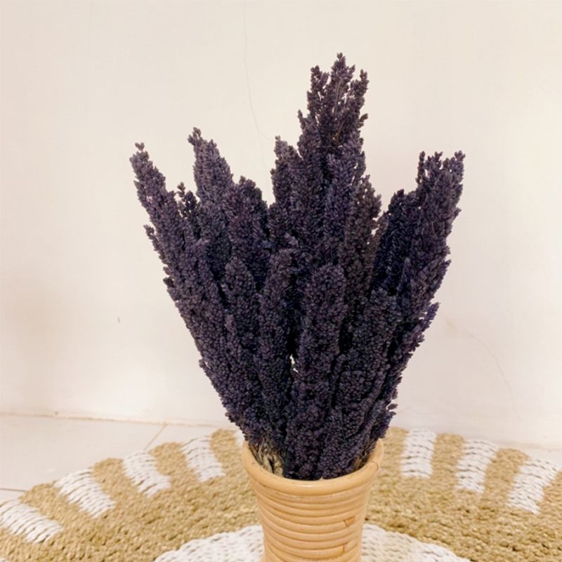 Set mit 6 schwarzen Sorghum-Grasbüscheln – Natürliche Raumdekoration