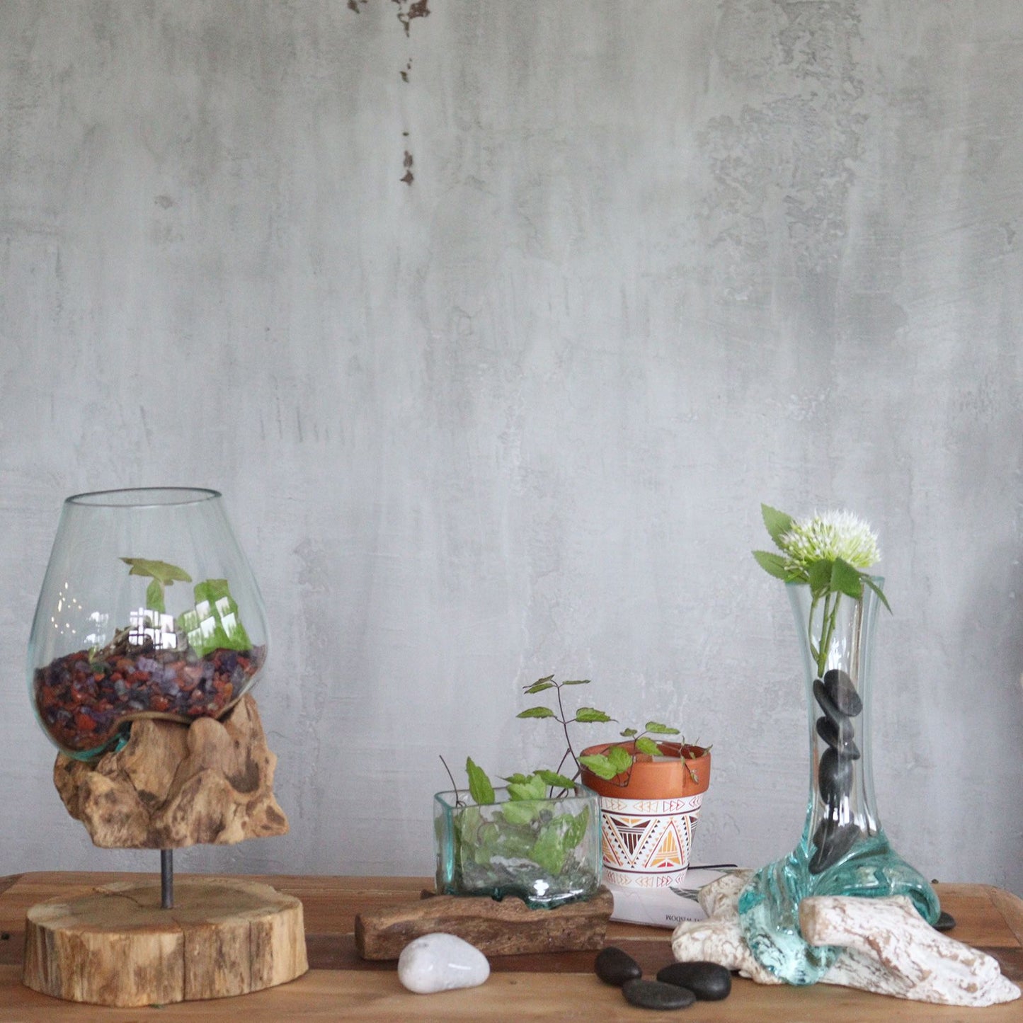 Vase aus geschmolzenem Glas auf Wurzelholz - Einzigartiges Naturkunstwerk