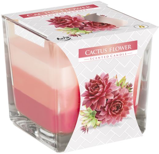 Duftkerze 'Regenbogenzauber' mit Kakteenblüten-Aroma im Glas