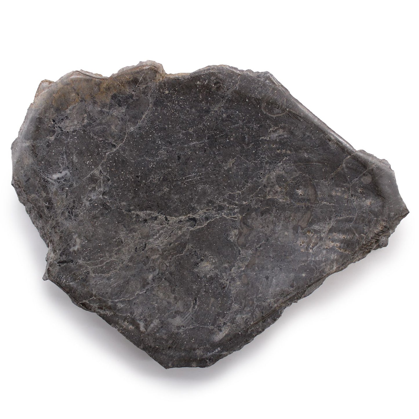 Seifenschale aus Naturstein – Grauer Marmor mit einzigartiger Maserung