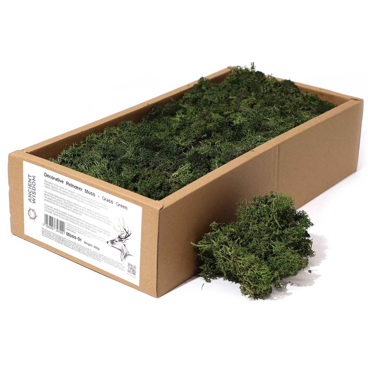 Premium Rentiermoos stabilisiert in Grasgrün - 635g Box für kreative Raumgestaltung