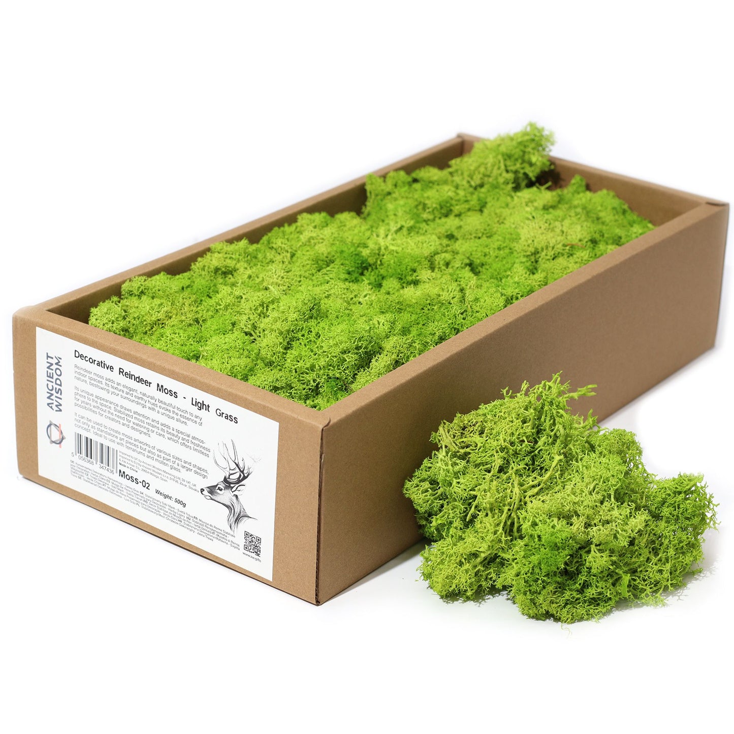 Premium Rentiermoos Hellgras - 635g Box für kreative Deko
