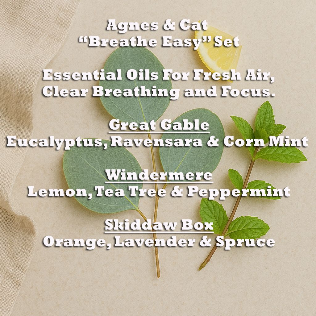 Atemfrische Set mit 3 ätherischen Öl-Mischungen für klare Luft & Konzentration