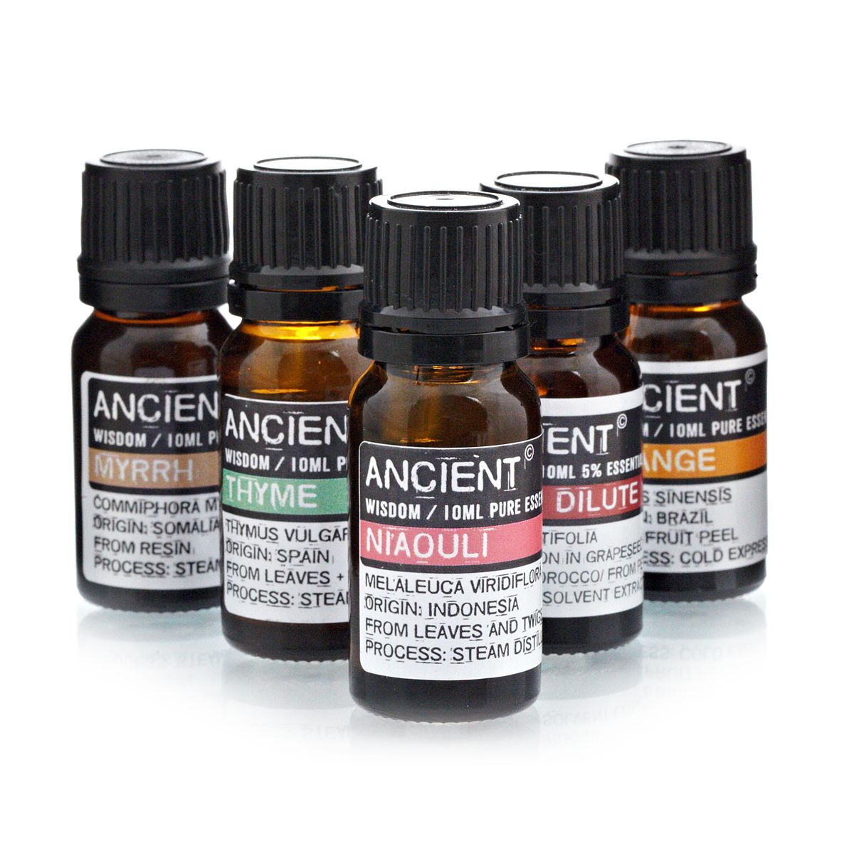 Niaouli Ätherisches Öl 10ml – Natürliche Unterstützung für Haut & Wohlbefinden