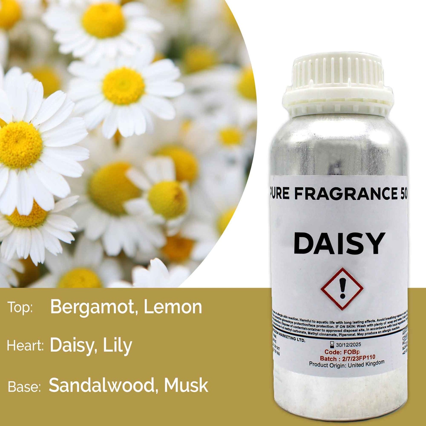 Reines Gänseblümchen Duftöl – 500ml Flakon für Aromatherapie & Handwerk