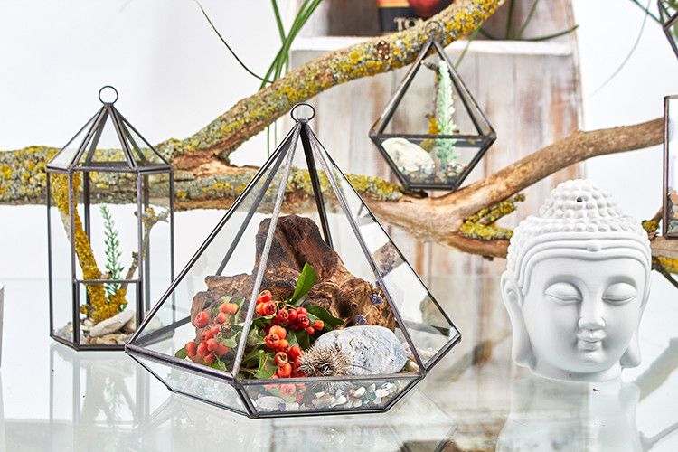 Diamant Terrarium aus Glas mit Messingrahmen - Stilvolle Pflanzendeko