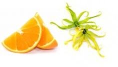 Feste Haarseife Ylang & Orange – Für geschmeidigen Glanz und Volumen
