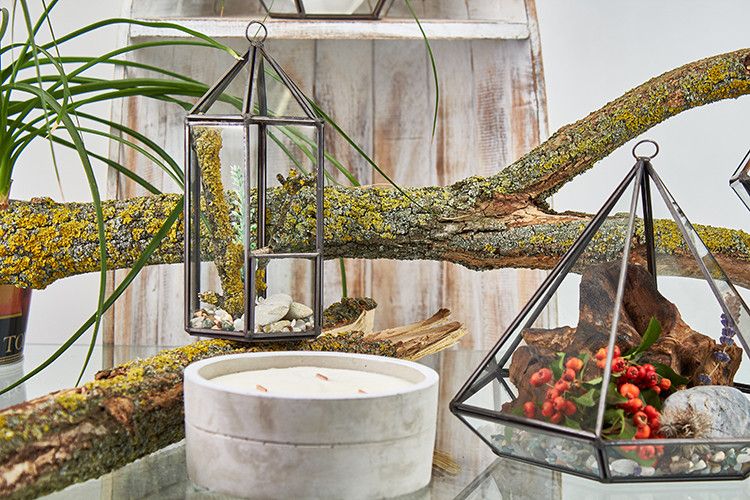 Geometrisches Glas-Terrarium in Laternenform mit Messingrahmen
