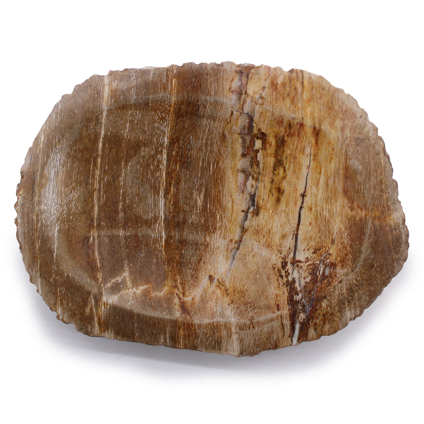 Seifenschale aus versteinertem Holz – Einzigartiges Naturstein-Accessoire in warmem Braun