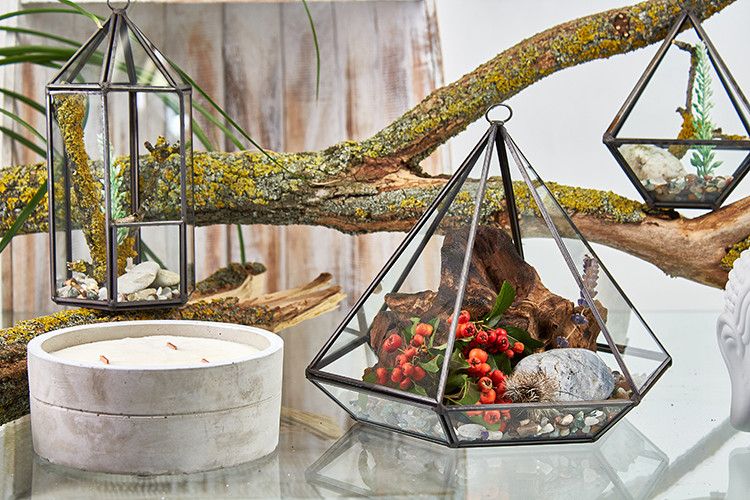 Glasterrarium 'Kristall-Diamant' mit Messingrahmen - Moderner Pflanzendekor