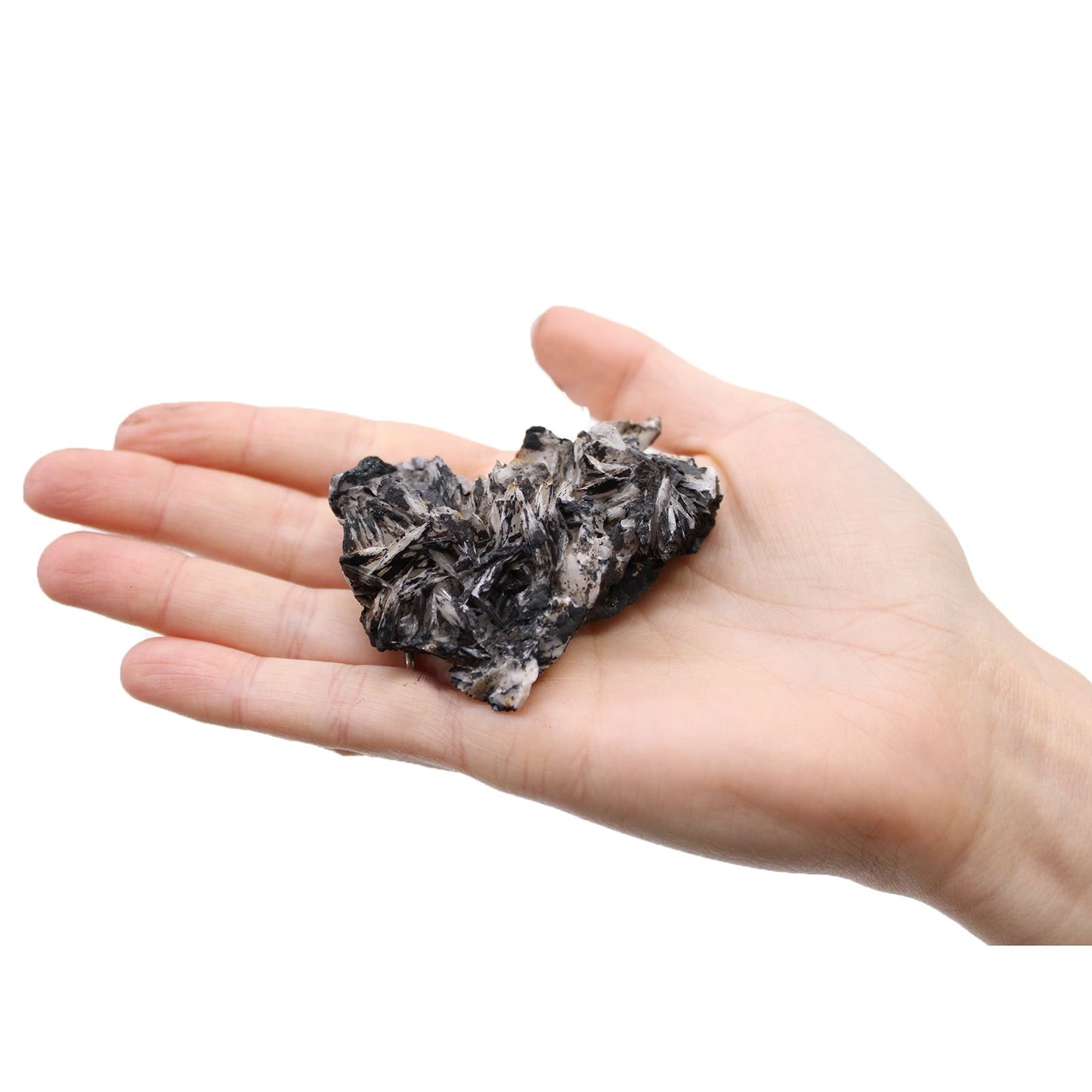 Sammlerbox mit 24 einzigartigen Mineralien – Naturschätze der Erde