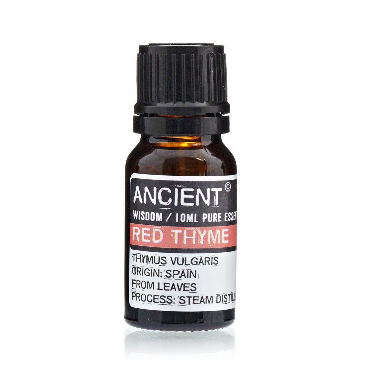 Ätherisches Öl Roter Thymian 10ml – Warm & krautig