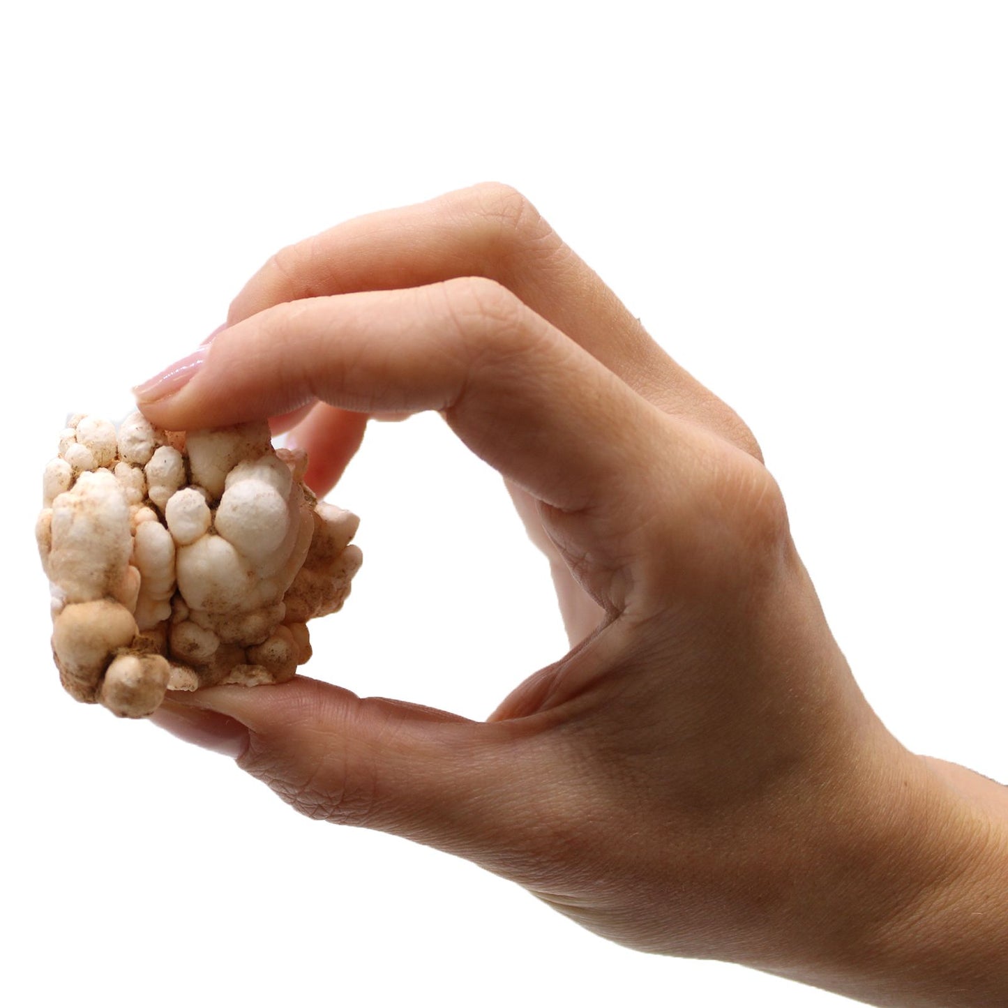 Blütencalcit Sammlerstücke - 20 natürliche Mineralien in Blütenform