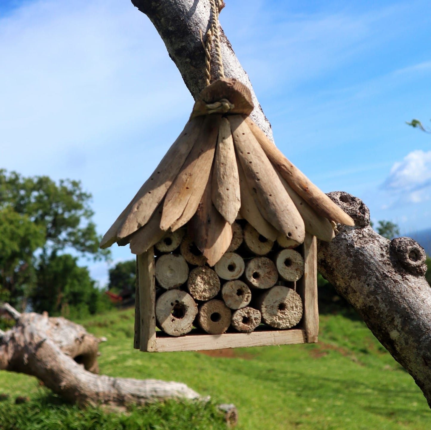 Bienen- und Insektenhaus aus recyceltem Treibholz – Ein Unikat für den Naturgarten