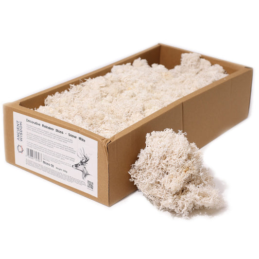 Premium Rentiermoos Schneeweiß - 635g Box für kreative Dekoration