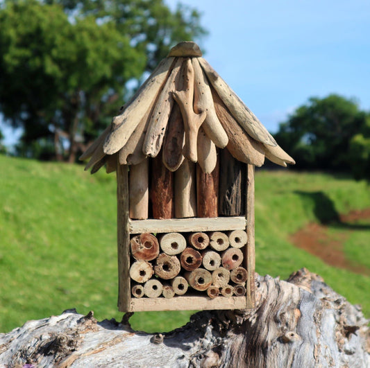 Insekten-Doppelbox aus recyceltem Treibholz - Natürliches Refugium für Wildbienen