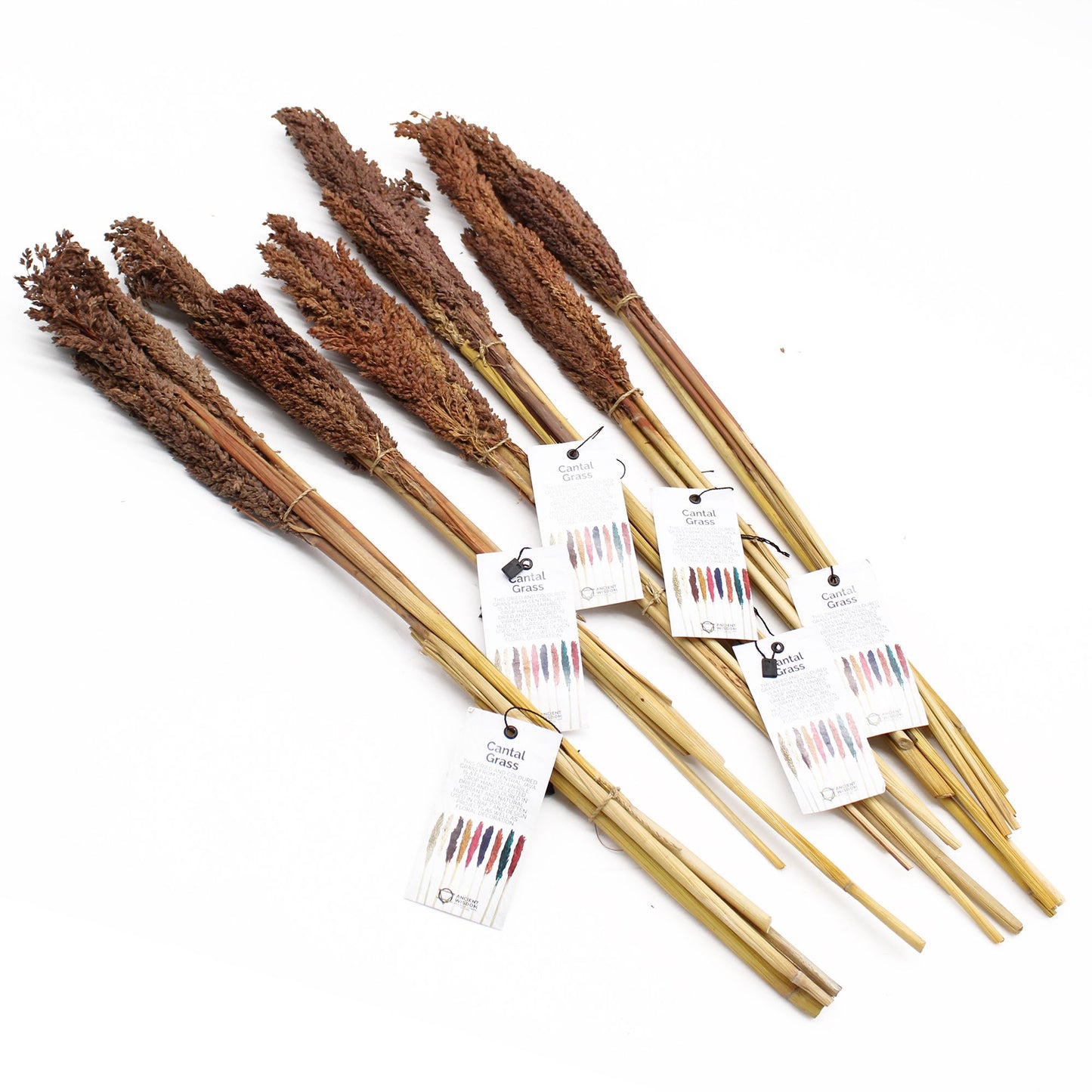Natürliche Sorghum-Grasbüschel in Schokoladenbraun - 6er Set für Boho-Deko