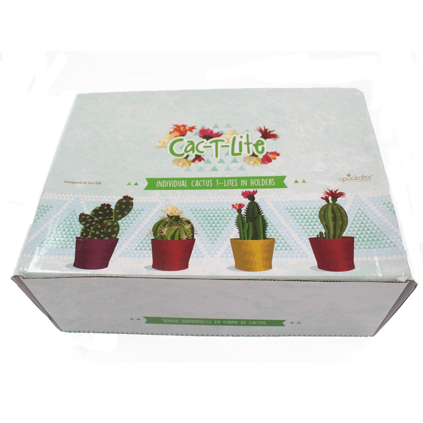 Skurrile Kaktus-Kerze im Tier-Topf – Dekoratives Lichtobjekt