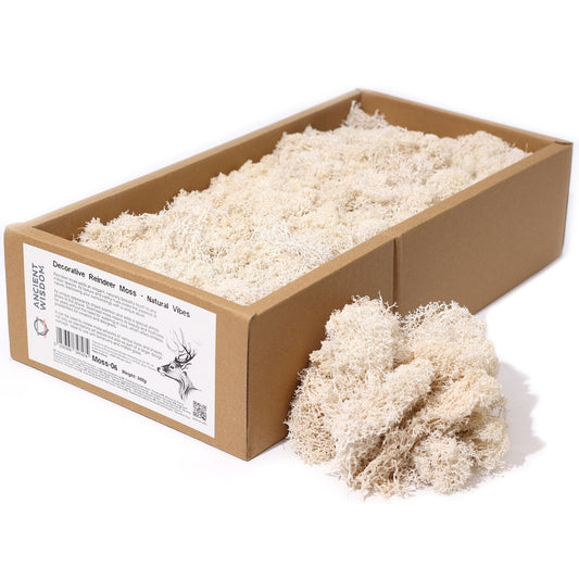 Premium Rentiermoos Natural Vibes - 635g Box für kreative Natur-Deko