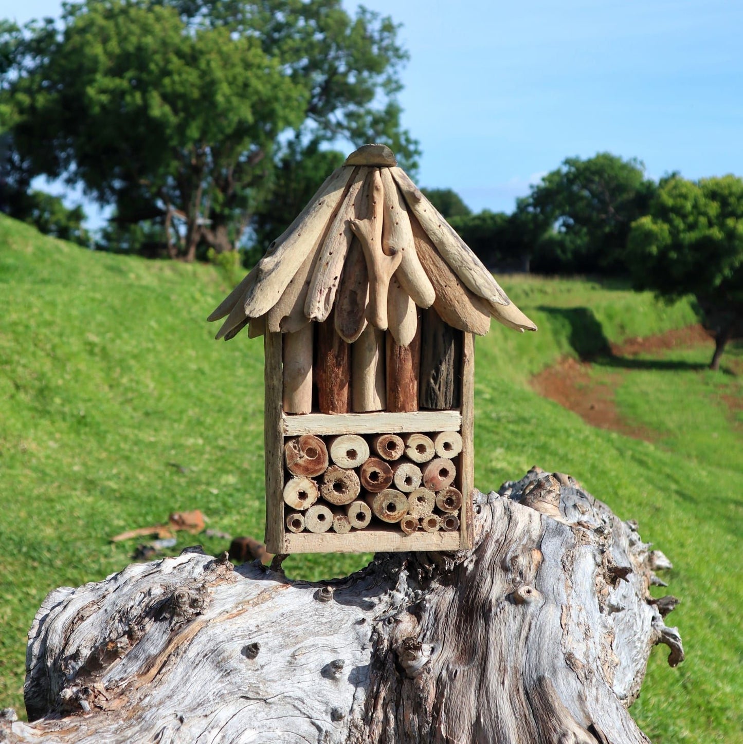 Insekten-Doppelbox aus recyceltem Treibholz - Natürliches Refugium für Wildbienen