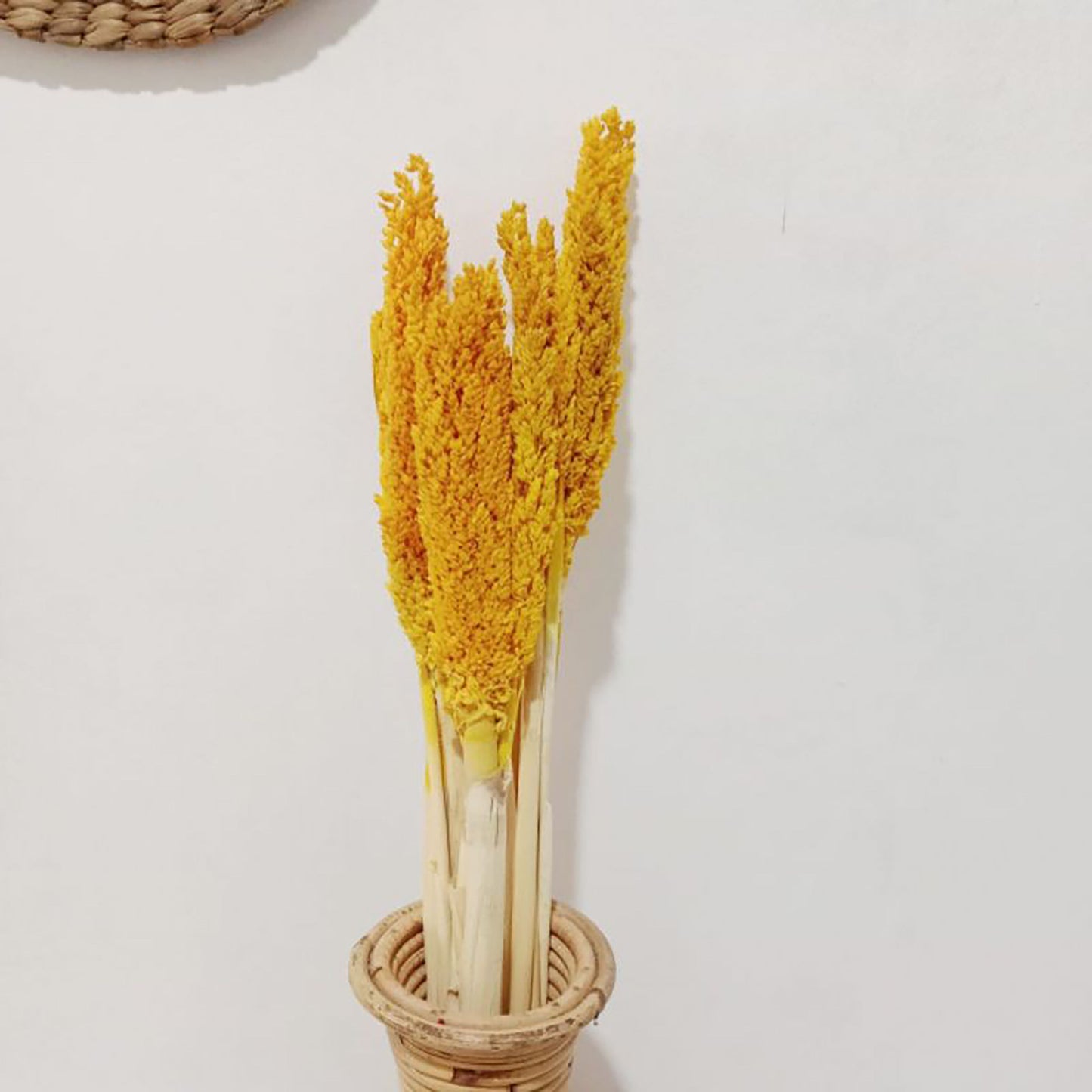 Natürliches Sorghum-Gras Bündel-Set in Amber & Rosé (6 Stück)