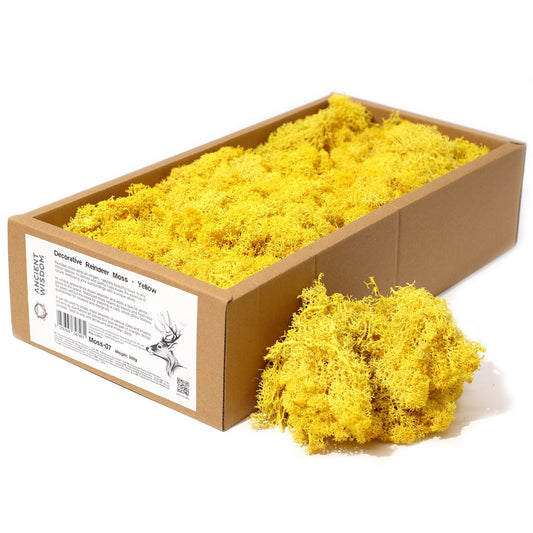 Premium Rentiermoos stabilisiert in Gelb - 635g Box für kreative Deko