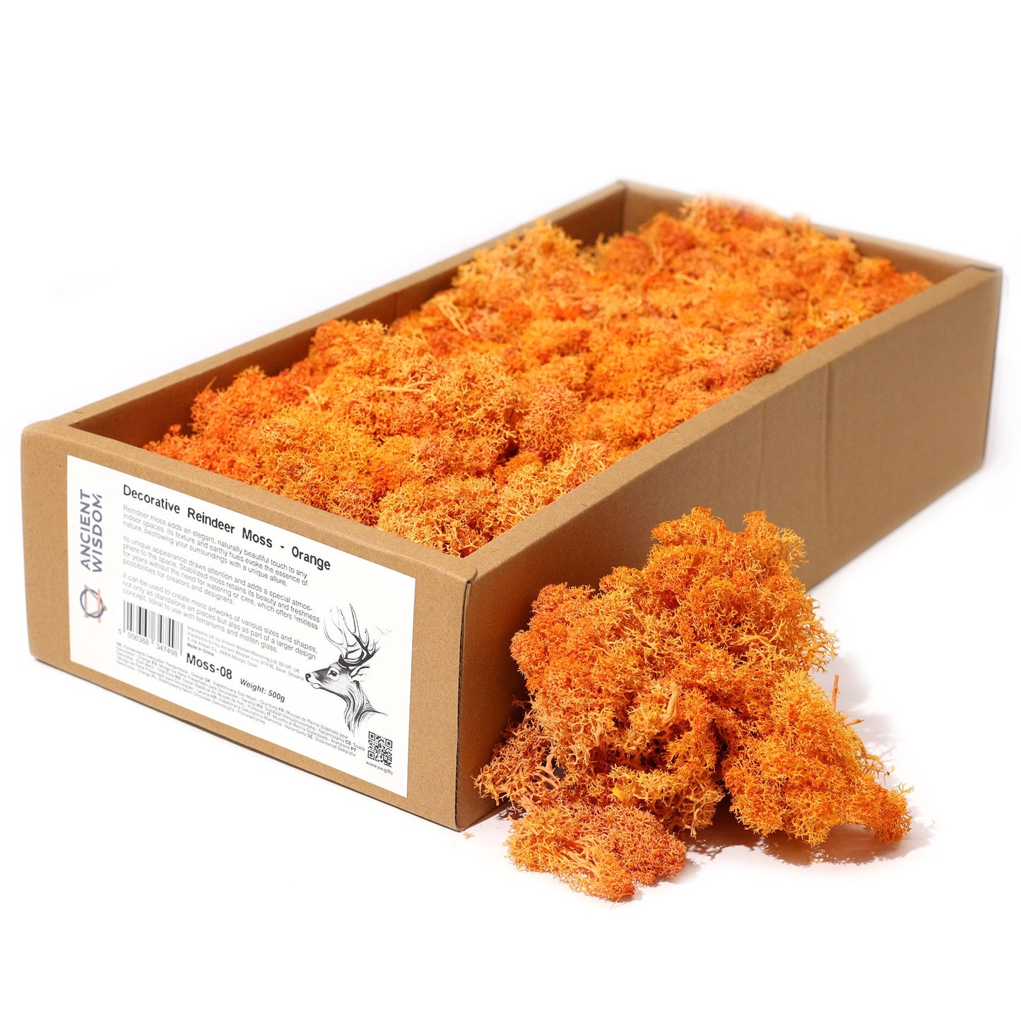 Premium Rentiermoos in Orange - 635g Box für kreative Raumgestaltung