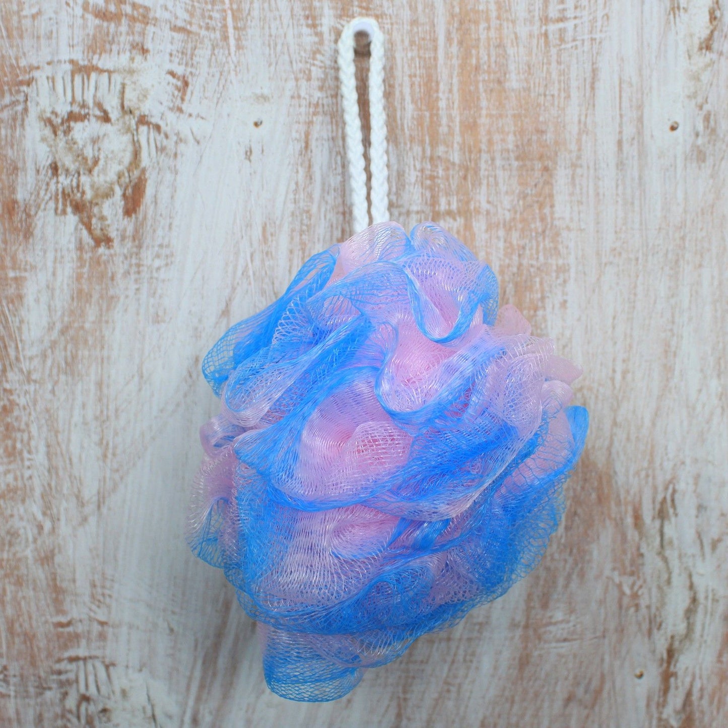 Vivid Glow Duschschwamm-Set – 4 Stück in Präsentationsröhre