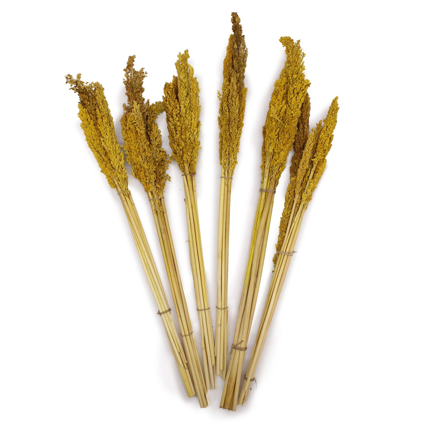Natürliches Sorghum-Gras Bündel-Set in Amber & Rosé (6 Stück)