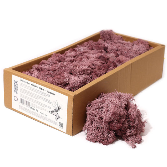 Premium Dekor-Moos in Lavendel - 635g Box, stabilisiert & pflegeleicht