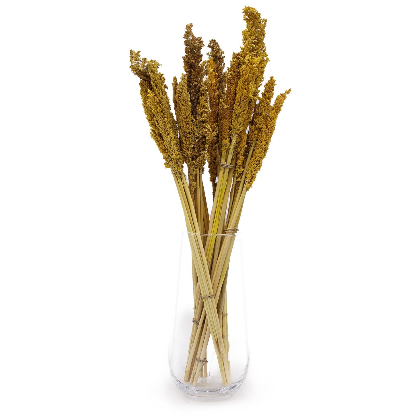 Natürliches Sorghum-Gras Bündel-Set in Amber & Rosé (6 Stück)