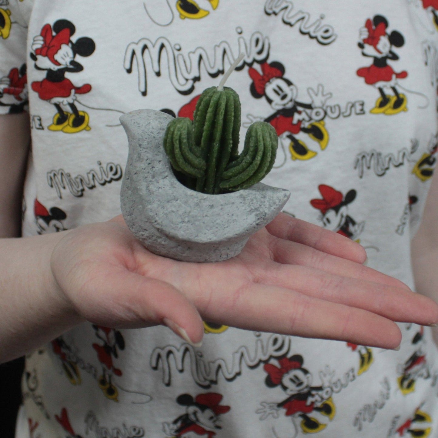 Skurrile Kaktus-Kerze im Tier-Topf – Dekoratives Lichtobjekt