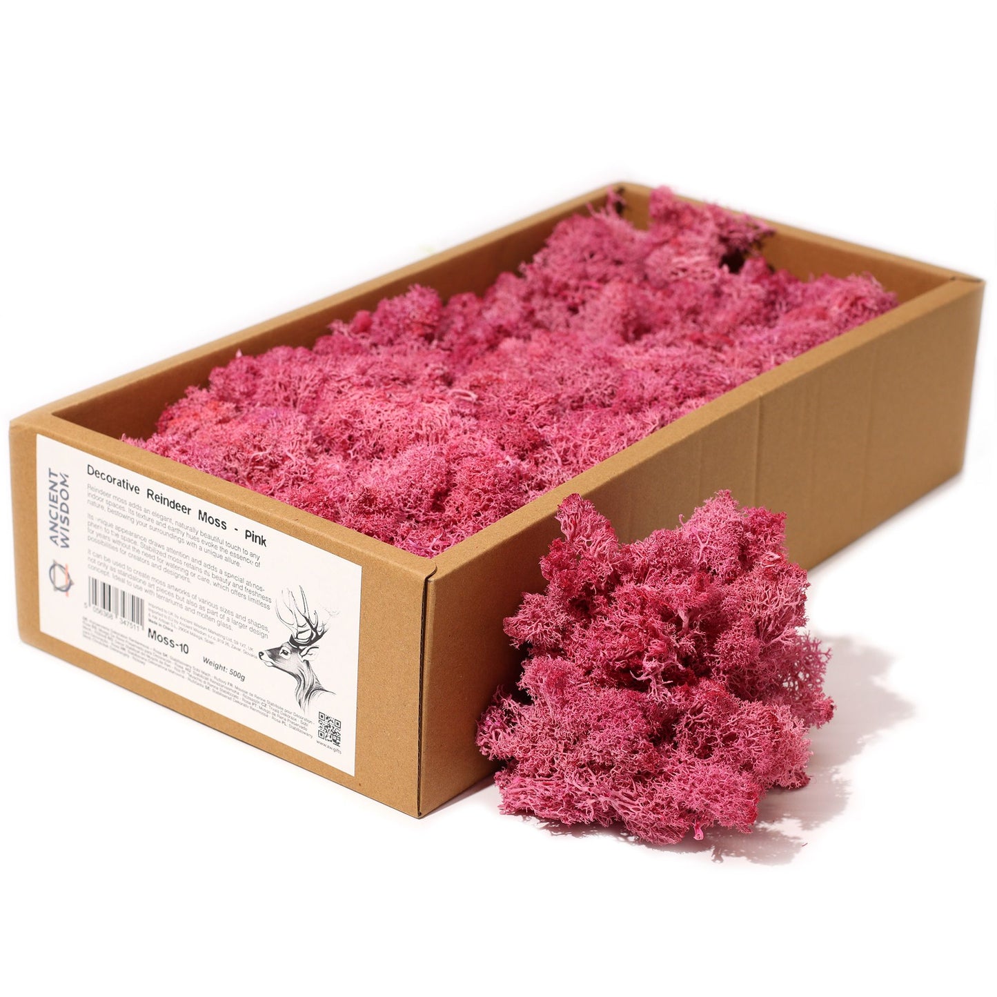 Premium Rentiermoos in Rosa - 635g Box - Stabilisiert & pflegeleicht