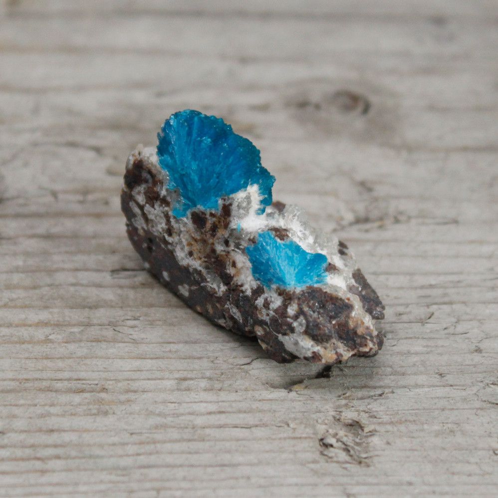 Cavansit Sammlerstein 30-40 mm | Seltene Mineralien-Rarität