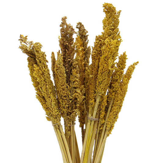 Natürliches Sorghum-Gras Bündel-Set in Amber & Rosé (6 Stück)