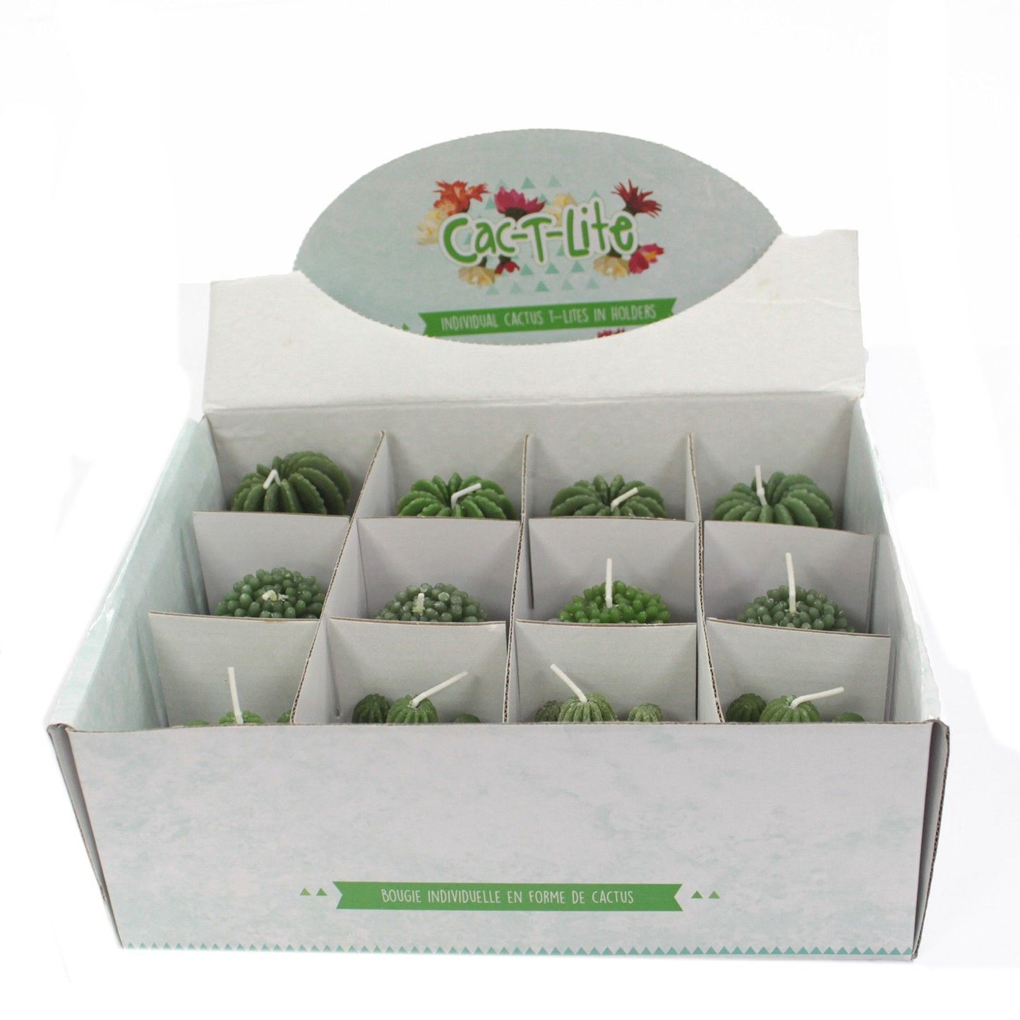 Skurrile Kaktus-Kerze im Tier-Topf – Dekoratives Lichtobjekt