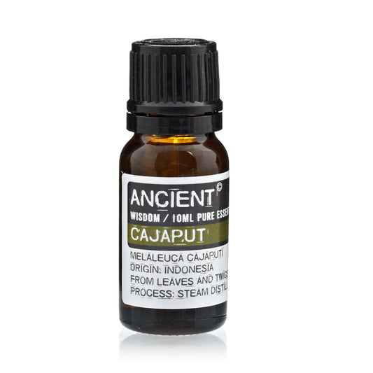 Cajeput Ätherisches Öl | 100% rein | 10ml
