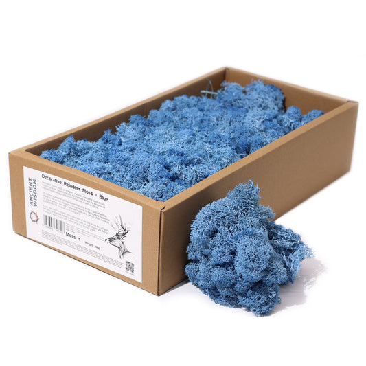 Premium Rentiermoos in Blau - 635g Box - Stabilisiert & pflegeleicht