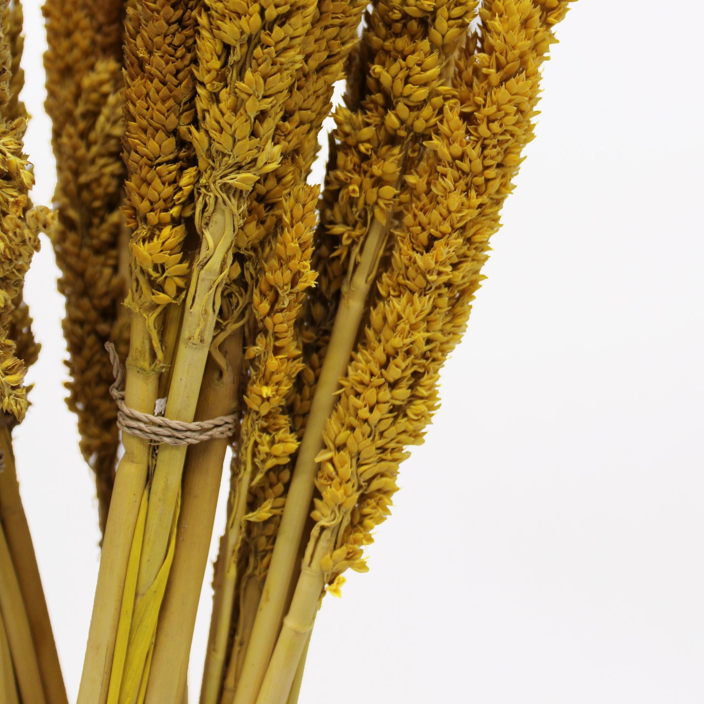 Natürliches Sorghum-Gras Bündel-Set in Amber & Rosé (6 Stück)