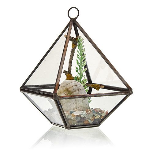 Diamant Terrarium aus Glas mit Messingrahmen - Stilvolle Pflanzendeko