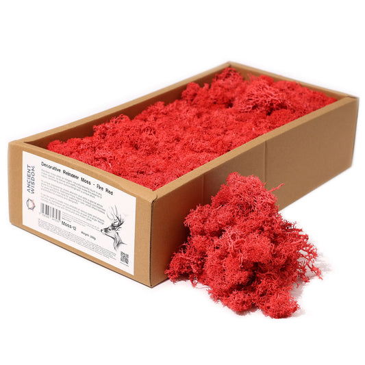 Premium Rentiermoos Feuerrot - 635g Box für pflegeleichte Deko