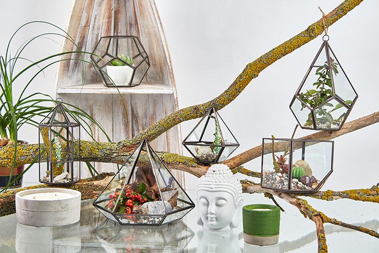 Diamant Terrarium aus Glas mit Messingrahmen - Stilvolle Pflanzendeko