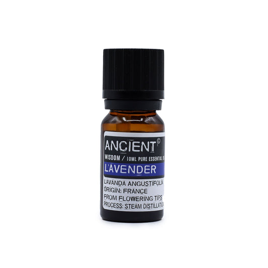 Lavendelöl – Reine Entspannung aus der Provence