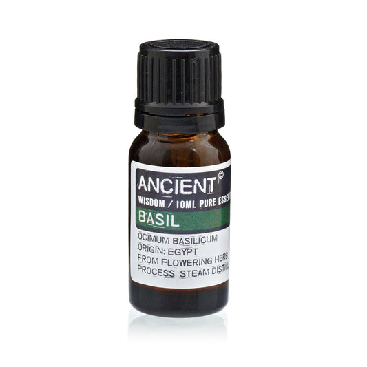 Ätherisches Öl Basilikum – 100% rein, aus indischer Dampfdestillation (10ml)